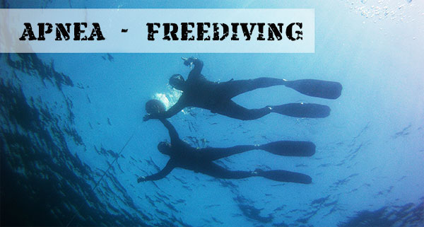 Curso de Apena, Freediving